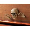 Dragon Crest Skeleton Wall Decor Set