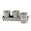 Galvanized Set of Three Planters With Tray; Gray