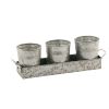 Galvanized Set of Three Planters With Tray; Gray