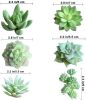 11PCS Artificial Succulent Plants Unpotted Flocking Realistic Succulents Plant