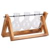 Desktop Glass Planter Bulb Plant Terrarium with Wooden Stand