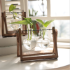 Hot selling table vase water planting glass flower vase with wooden frame home decor creative modern glass vase