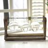 Hot selling home decor water planting glass flower vase with wooden frame creative modern glass vase