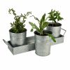 Galvanized Set of Three Planters With Tray; Gray