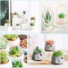 11PCS Artificial Succulent Plants Unpotted Flocking Realistic Succulents Plant