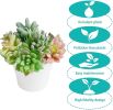 11PCS Artificial Succulent Plants Unpotted Flocking Realistic Succulents Plant