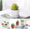 11PCS Artificial Succulent Plants Unpotted Flocking Realistic Succulents Plant