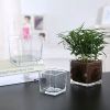 Transparent Glass Square Glass Vase Square Cylinder Fangkou Square Succulent Flower Pot Home Decoration Put Hydroponic Vase