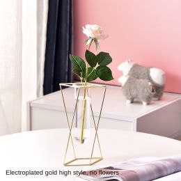 Nordic ins geometric vase light luxury metal iron decoration living room flower arrangement creative household glass flower rack decoration (size: Gold iron geometric vase (high style, without flowers))