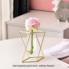 Nordic ins geometric vase light luxury metal iron decoration living room flower arrangement creative household glass flower rack decoration