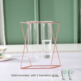 Nordic ins geometric vase light luxury metal iron decoration living room flower arrangement creative household glass flower rack decoration (size: Rose gold and iron geometric vase (double tube))