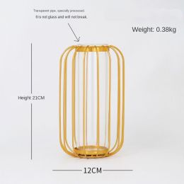 Spring Festival Flower New Year Decoration Iron Lantern Vase Transparent Hydroponics Futong Pumpkin Vase Happy Layout Manufacturer (size: Lantern vase)