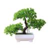 Plant Mold Lightweight Vivid Exquisite Mini Potted Plant for Store