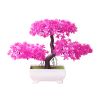 Plant Mold Lightweight Vivid Exquisite Mini Potted Plant for Store