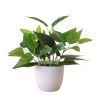 Artificial Foliage Plant Realistic Multipurpose Plastic Fadeless Vivid Simulation Bonsai Home Garden Wedding Decoration