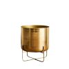 Wide Golden Flower Pot with Detachable Metal Stand; Decorative Indoor Planter; Planter Holder for Living Room; Kitchen; Office