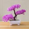 Plant Mold Lightweight Vivid Exquisite Mini Potted Plant for Store