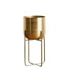 Wide Golden Flower Pot with Detachable Metal Stand; Decorative Indoor Planter; Planter Holder for Living Room; Kitchen; Office