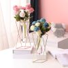 Nordic ins geometric vase light luxury metal iron decoration living room flower arrangement creative household glass flower rack decoration