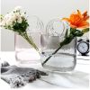 Creative transparent glass handbag fish tank vase decoration living room flower arrangement hydroponic decoration fish tank vase