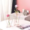 Nordic ins geometric vase light luxury metal iron decoration living room flower arrangement creative household glass flower rack decoration