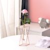 Nordic ins geometric vase light luxury metal iron decoration living room flower arrangement creative household glass flower rack decoration