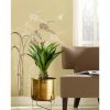 Wide Golden Flower Pot with Detachable Metal Stand; Decorative Indoor Planter; Planter Holder for Living Room; Kitchen; Office